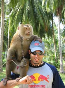 Monkey Show