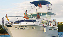 Bertram Sport Cruiser