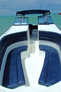 VIP Speedboat to Angthong