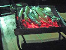 Night fishing dinner 