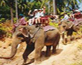 Tours Koh Samui Safari