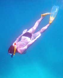 Snorkeling at Koh Nangyuan