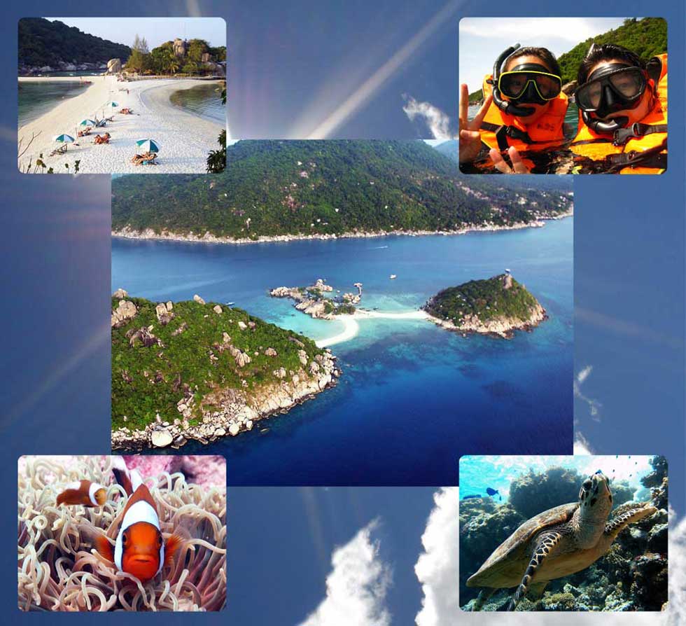 Snorkeling tour to Koh Tao and Koh Nangyuan